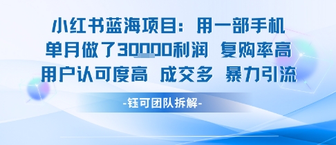小红书蓝海项目，一部手机单月做了3W利润，小白也能月入过1W用户认可度高成交多-777网创网