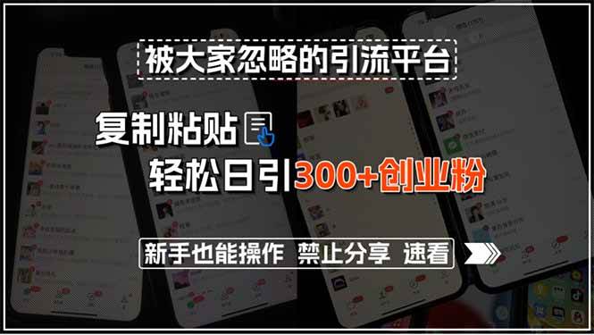 （15428期）被大家忽略的引流平台，复制粘贴轻松日引300+创业粉，新手也能操作，禁…-777网创网