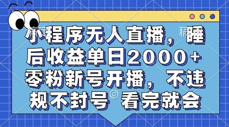 （13251期）小程序无人直播，睡后收益单日2000+ 零粉新号开播，不违规不封号 看完就会-777网创网