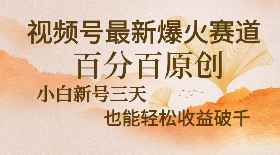 （13225期）视频号最新爆火赛道，中老年粉深信不疑，百分百原创，新号三天收益轻松…-777网创网
