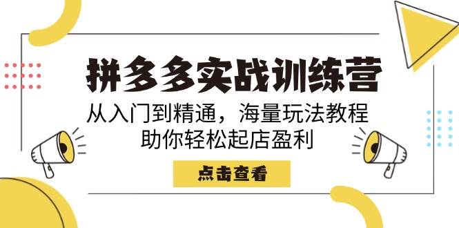（14392期）拼多多实战训练营，从入门到精通，海量玩法教程，助你轻松起店盈利-777网创网