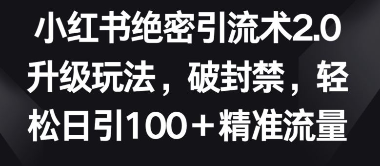 小红书绝密引流术2.0升级玩法，破封禁，轻松日引100+精准流量【揭秘】-777网创网
