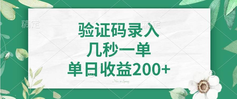 （14221期）验证码录入，几秒一单，单日收益200+-777网创网