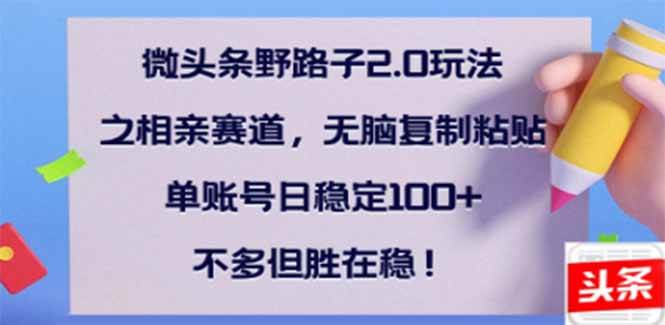 （14334期）微头条野路子2.0玩法之相亲赛道，无脑搬砖复制粘贴，单账号日稳定300+…-777网创网