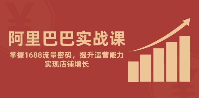 （14830期）阿里巴巴实战课：掌握1688流量密码，提升运营能力，实现店铺增长-777网创网