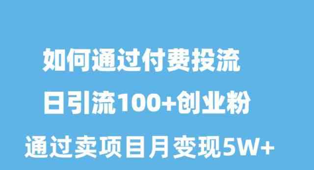 （10189期）如何通过付费投流日引流100+创业粉月变现5W+-777网创网