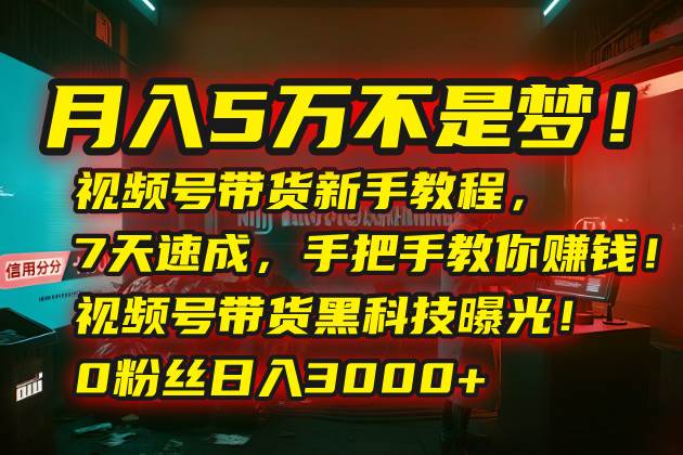 （15595期）月入5万不是梦！视频号带货新手教程，7天速成，手把手教你赚钱！视频号…-777网创网
