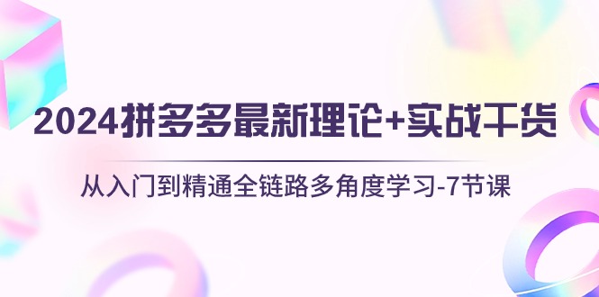 （10816期）2024拼多多 最新理论+实战干货，从入门到精通全链路多角度学习-7节课-777网创网