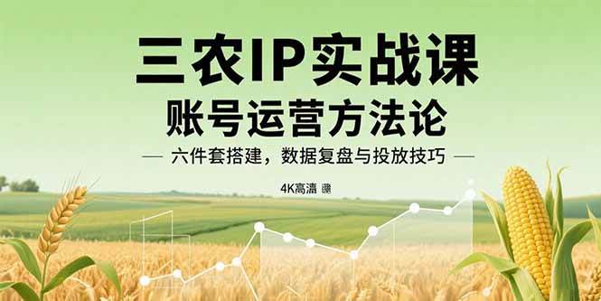 (15864期)三农IP实战课:账号运营方法论,六件套搭建,数据复盘与投放技巧-777网创网