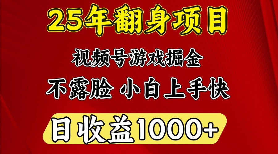 一天收益1000+ 25年开年落地好项目-777网创网