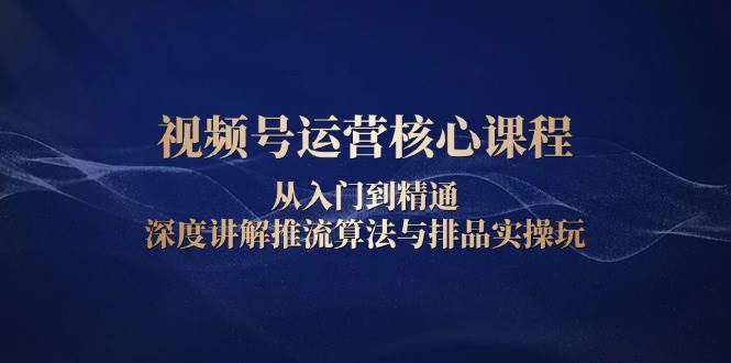 （13863期）视频号运营核心课程，从入门到精通，深度讲解推流算法与排品实操玩-777网创网