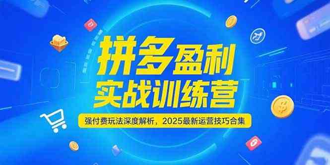 拼多多盈利实战训练营，强付费玩法深度解析，2025最新运营技巧合集-777网创网