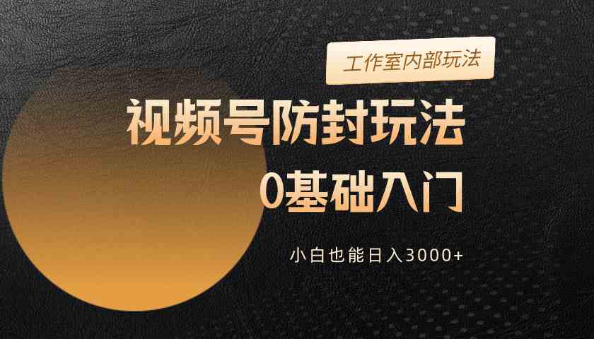 (10107期)2024视频号升级防封玩法,零基础入门,小白也能日入3000+-777网创网