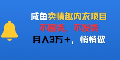 咸鱼卖情趣内衣项目，不囤货，不发货，月入3W+，悄悄做-777网创网
