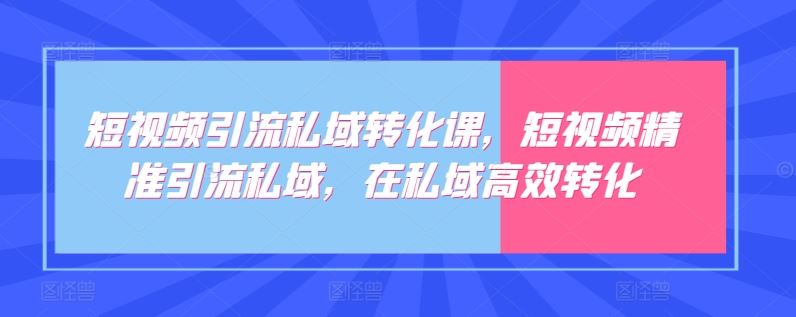 短视频引流私域转化课,短视频精准引流私域,在私域高效转化-777网创网