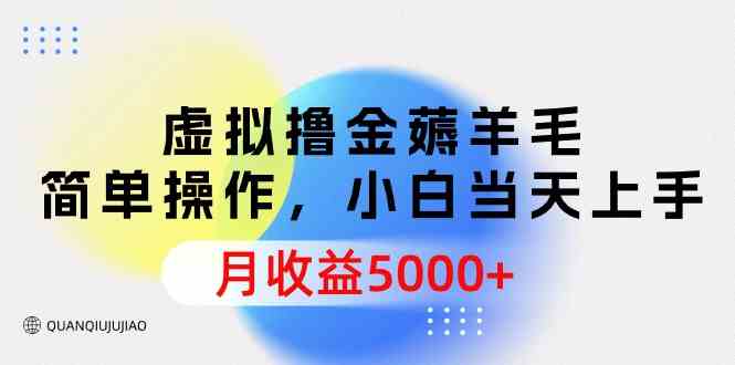 （9864期）虚拟撸金薅羊毛，简单操作，小白当天上手，月收益5000+-777网创网