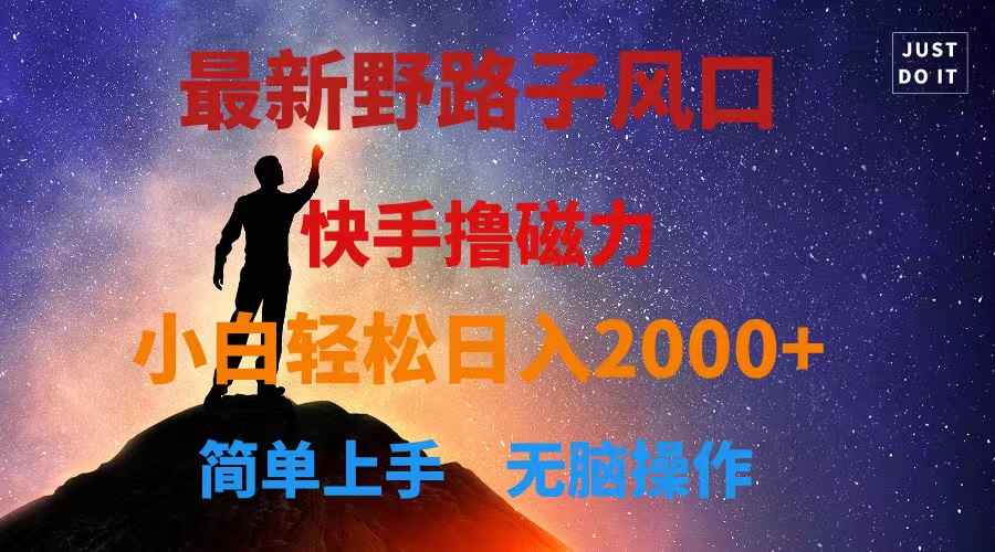 （10754期）最新风口！快手撸磁力，野路子，小白无脑操作日入2000+-777网创网
