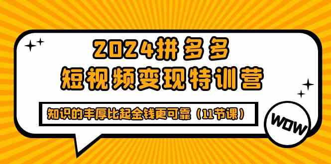 （9817期）2024拼多多短视频变现特训营，知识的丰厚比起金钱更可靠（11节课）-777网创网