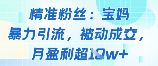 精准粉丝：宝妈暴力引流方法，被动成交，月盈利超1w+-777网创网