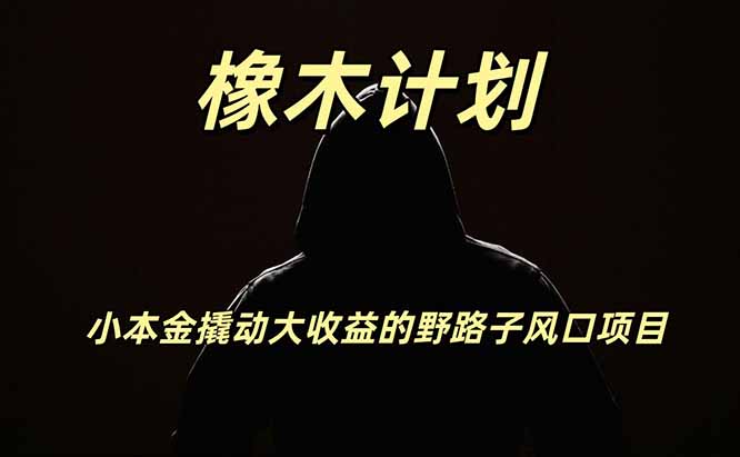 橡木计划,小投入撬动高回报的风口野路子项目,一天投入2小时左右-777网创网