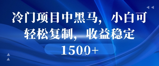 冷门项目中黑马，小白可轻松复制，收益稳定1.5k-777网创网