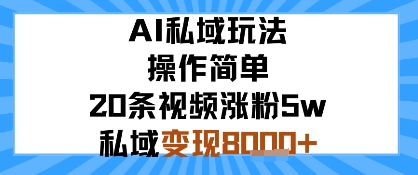 AI私域玩法,操作简单,20条视频涨粉5w,私域变现8k+