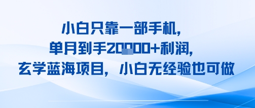 小白只靠一部手机,单月到手2W+利润,玄学蓝海项目,小白无经验也可做