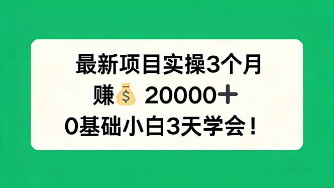 最新项目实操3个月，赚钱20000+，0基础小白3天学会！-777网创网