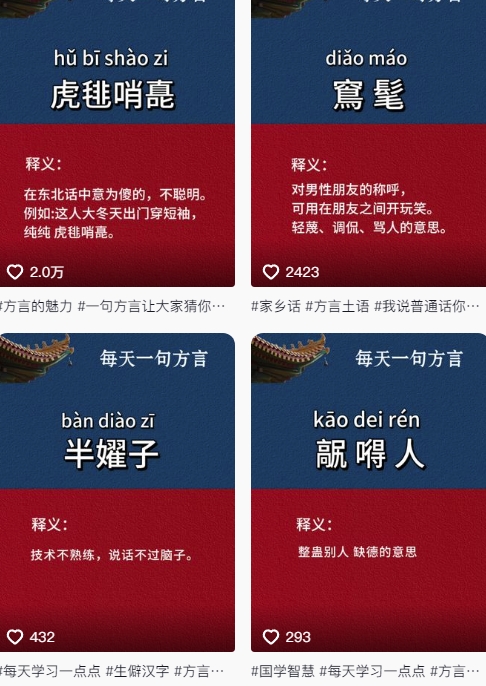 抖音最新涨粉玩法,图文方言暴力涨粉实操,126作品涨粉11W-777网创网