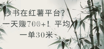 抄书在小红薯平台？平均一单30米，一天收益几张！-777网创网