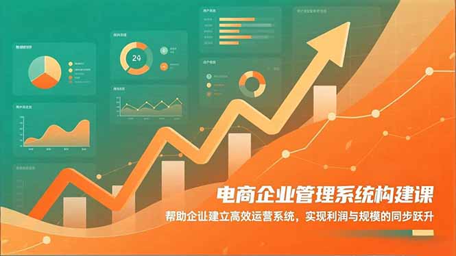电商企业管理系统构建课：帮助企业建立高效运营系统，实现利润与规模的同步跃升-777网创网