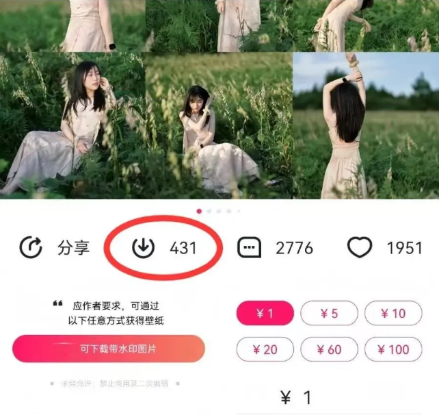 最新图虫搬运项目，收益无上限，利用AI小白也可日赚500+-777网创网