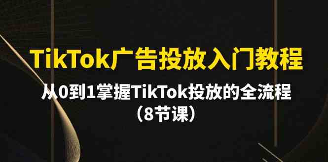 （10085期）TikTok广告投放入门教程，从0到1掌握TikTok投放的全流程（8节课）-777网创网