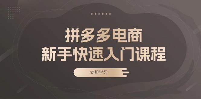 （13289期）拼多多电商新手快速入门课程：涵盖基础、实战与选款，助力小白轻松上手-777网创网