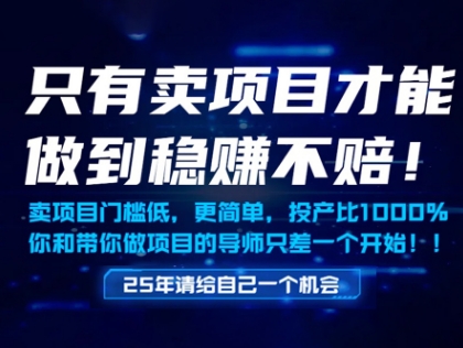 只有卖项目才能做到稳挣不赔，门槛低，更简单，你也可以年入百个W【揭秘】-777网创网