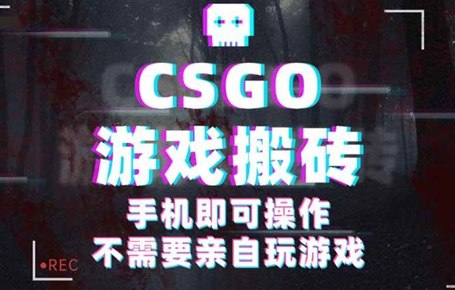 （16090期）CSGO游戏挂机捡漏，单日扫货500+，年底小高峰上车可吃肉，手机即可操作…-777网创网