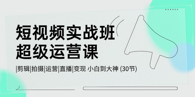 （10836期）短视频实战班-超级运营课，|剪辑|拍摄|运营|直播|变现 小白到大神 (30节)-777网创网