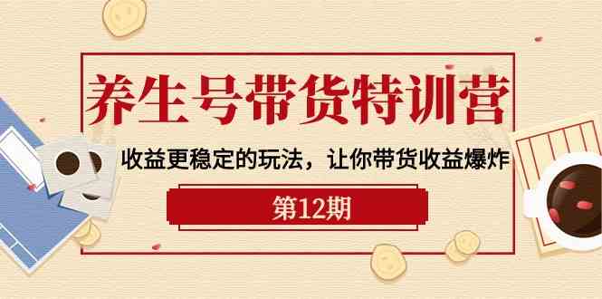 （10110期）养生号带货特训营【12期】收益更稳定的玩法，让你带货收益爆炸-9节直播课-777网创网