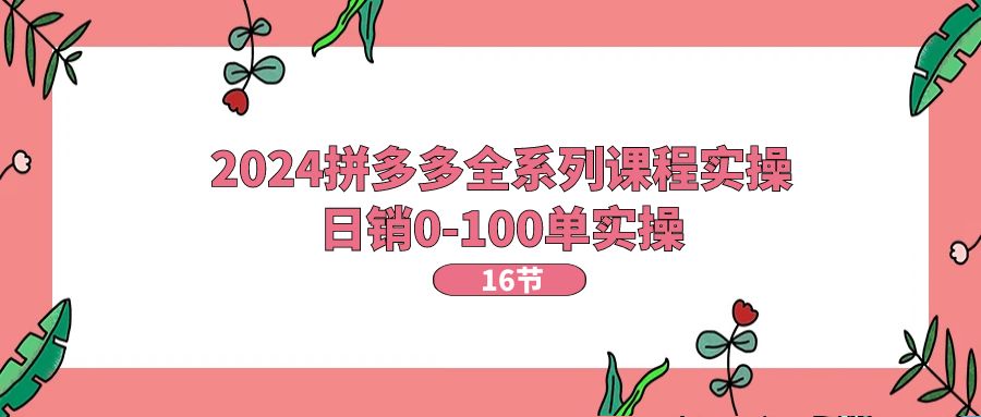 （11222期）2024拼多多全系列课程实操，日销0-100单实操【16节课】-777网创网