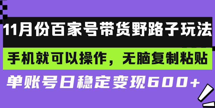 （13281期）百家号带货野路子玩法 手机就可以操作，无脑复制粘贴 单账号日稳定变现…-777网创网