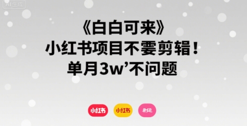 小白可来 小红书项目不需要剪辑 单月3w不是问题-777网创网