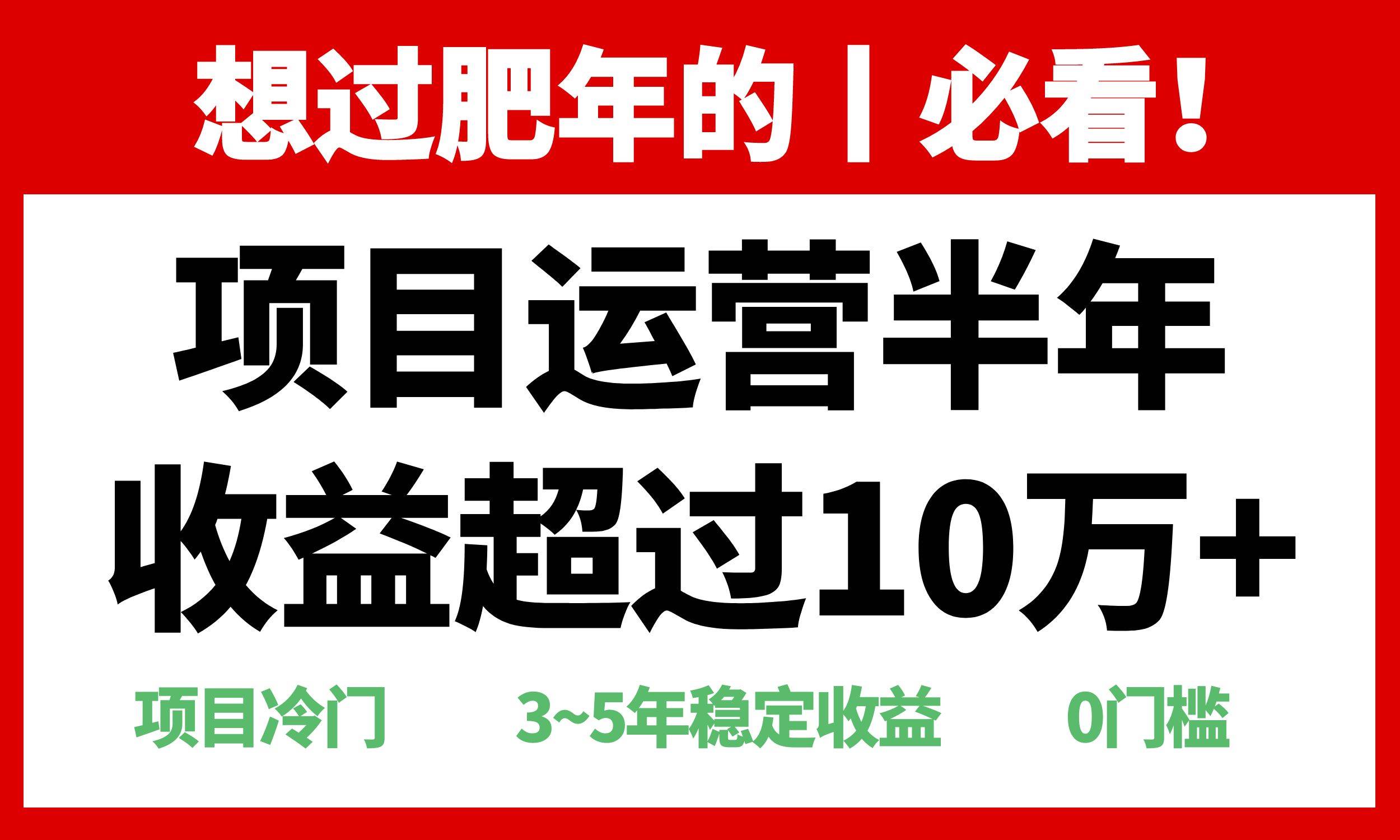 (13663期)年前过肥年的必看的超冷门项目,半年收益超过10万+,-777网创网