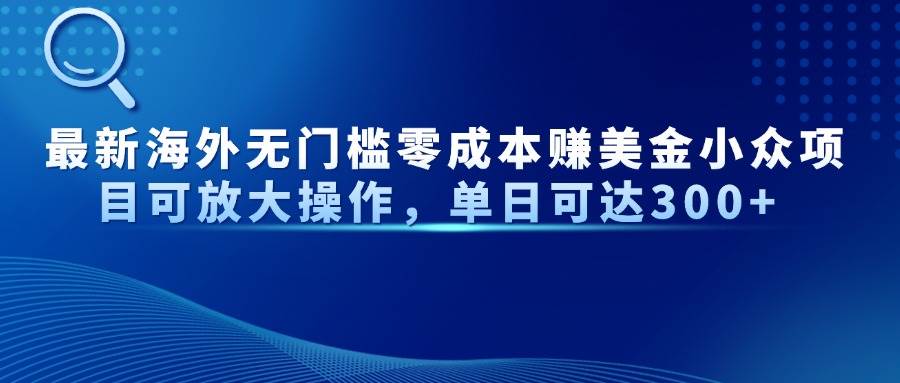 （14542期）最新海外无门槛零成本赚美金小众项目可放大操作，单日可达300+-777网创网