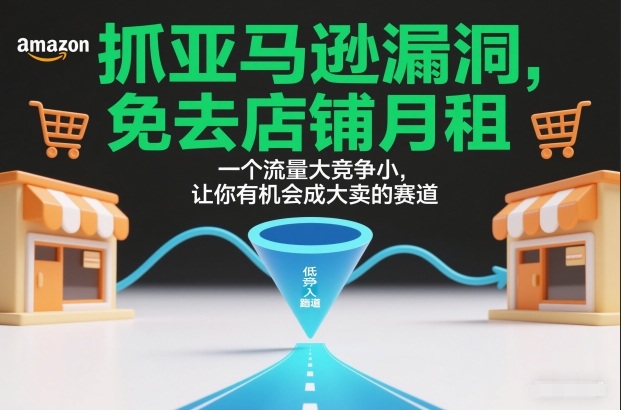 抓亚马逊漏洞，免去店铺月租，一个流量大竞争小，让你有机会成大卖的赛道-777网创网