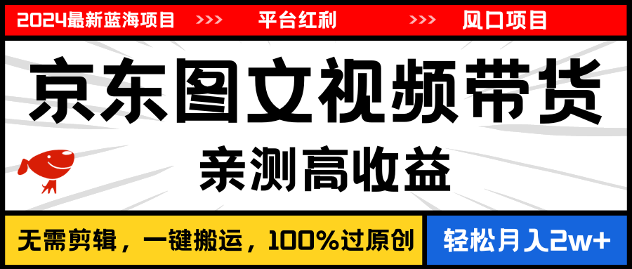 （11147期）2024最新蓝海项目，逛逛京东图文视频带货，无需剪辑，月入20000+-777网创网