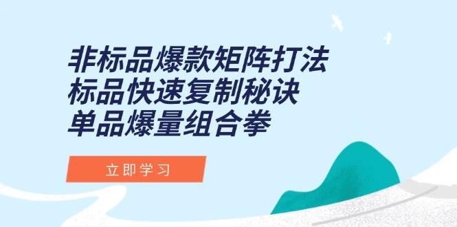 (15068期)非标品爆款矩阵打法,标品快速复制秘诀,单品爆量组合拳-777网创网