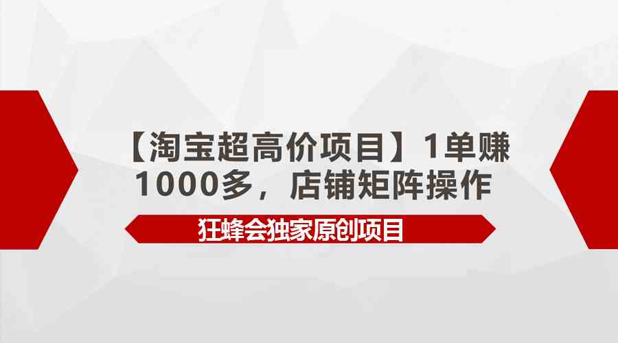 (9849期)【淘宝超高价项目】1单赚1000多,店铺矩阵操作-777网创网