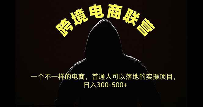 （20702期）跨境电商联营，一个不一样的电商，普通人可操作日入300-500+-777网创网