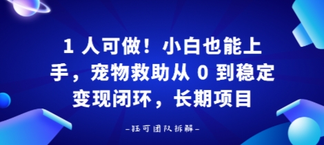 1人可做！小白也能上手，宠物救助从 0 到稳定变现闭环，长期项目-777网创网