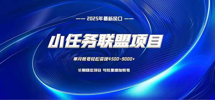 （16521期）小任务联盟项目：一台电脑每天只需10分钟，轻松简单稳定-777网创网